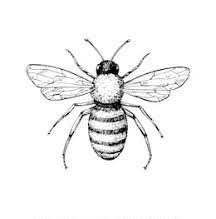 We did not find results for: How To Draw A Bee Step By Step For Kids Beginners