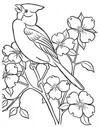 Bird coloring sheets contain parrot, eagle, owl, peacock, pelican, storks, toucan. Coloring Book Springtime Welcome Bird Coloring Pages Bird Drawings Coloring Pages