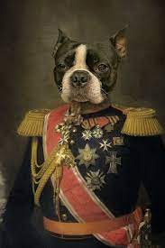 Maybe you would like to learn more about one of these? Royal Goodest Boy Custom Pet Portraits Cat Portraits Pet Portraits