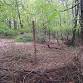 Sunday 10/19 Volunteer Deer Fence Building - Dobbs event image