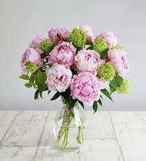 We did not find results for: Fruhlingsblumen Deko Bringt Freude Und Farbe In Die Wohnung Beautiful Flower Arrangements Peony Flower Arrangements Flower Arrangements