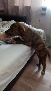 Mozhet Kto Podskazhet Ili Prosto Pikabu