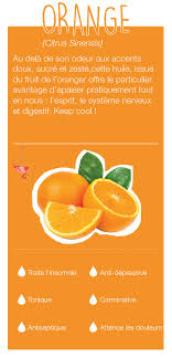 Fruit De L Oranger Arbre De La Famille Des Rutacees Est Cultivee Au Bresil Maghreb Espagne Aliments Bons Pour La Sante Maigrir Vite Et Bien Sante Naturelle