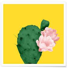 Top products, hand picked by expressions in bloom fine flowers. In Bloom Poster Juniqe