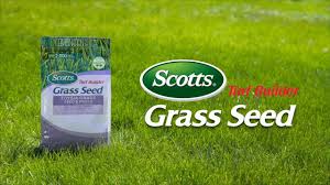 Each type of zoysia grass comes with its specific characteristics, with respect to lawn maintenance requirements. Scotts Turf Builder Zoysia Grass Seed And Mulch Grass Seed Scotts