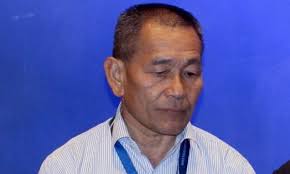 MH370 WAS carrying highly flammable lithium batteries admits CEO of  Malaysian Airlines