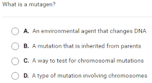 Inspiring mutations worksheet answer key practice worksheet images. Https Www Wrschool Net Cms Lib Az02214740 Centricity Domain 362 Packet 205 20of 2014 20biology Pdf