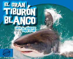 Encuentra vídeos de stock, secuencias en 4k y otras secuencias en hd sobre tiburón en istock. El Gran Tiburon Blanco By Gina Cline Lucia M Sanchez 9781634379786