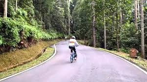 This is taman botani shah alam by yzsm! Taman Botani Negara Shah Alam Mp4 Youtube