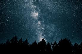 Maybe you would like to learn more about one of these? Forest Stars Wallpapers 4k Hd Forest Stars Backgrounds On Wallpaperbat