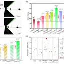 PDF) Enhancing the Interfacial Shear Strength and Tensile Strength ...