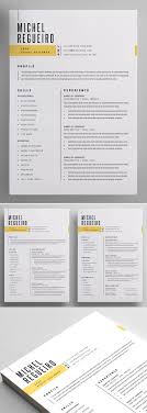 professional cv / resume templates with