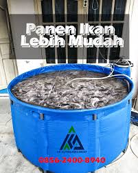 Distributor Jual Kolam Terpal Bioflok Kirim Ke Daerah Denpasar Kolam Terpal Ikan Nila Kirim Ke Daerah Surabaya Ke Daerah Tebet Kolam Terpal Kecil Anak Daerah Tangerang Jakarta Kirim Ke Daerah Ciledug Dan Daerah Sedati