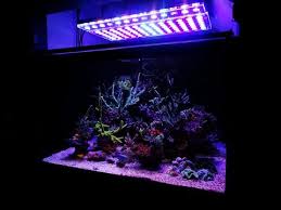 Orphek Atlantik V4 Reef Aquarium Led Lighting Bay Bridge Aquarium And Pet