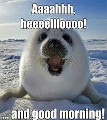 100 Funny Good Morning Memes Memes Of Good Morning Good Morning Funny Pictures Good Morning Funny Funny Good Morning Memes