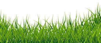 Grass Clipart Picture Gallery Yopriceville High Quality Images And Transparent Png Free Clipart Grass Clipart Grass Vector Grass