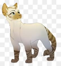 To make the cat's stomach draw a line that droops slightly next to the paws. Siamese Cat Drawings Png Cute Siamese Cat Drawings Siamese Cat Drawings Pencil Siamese Cat Drawings Easy Blue Siamese Cat Drawings Siamese Cat Drawings Simple Siamese Cat Drawings Prints Cleanpng Kisspng