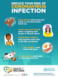 The permanent secretary ministry of health, ndeke house, haile selassie avenue, po box, 30205, lusaka. Learn About The Coronaviruses Ministry Of Health Wellness Jamaica