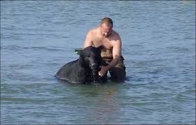 Мужчина спас тонущего в море медведя (16 фото) | Прикол.ру - приколы, картинки, фотки и розыгрыши!