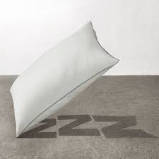 Oreiller Axag Ikea Memoire De Forme Traversin