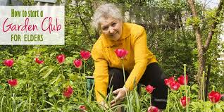 How To Start A Garden Club For Seniors Starting A Garden Garden Club Horticulture Therapy