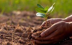 Healthy Soil: The foundation of organic farming – OCIA