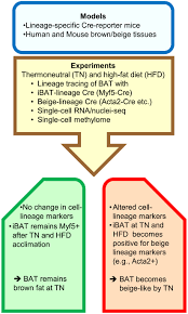 Image result for Beige 1977 Caloric