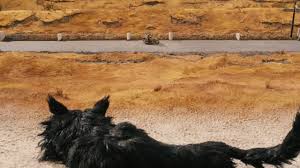 Maybe you would like to learn more about one of these? Fantastic Mr Fox 2009 Wolf Scene Coub The Biggest Video Meme Platform