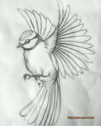 Drawing Art Tumblr 40 Free Easy Animal Sketch Drawing Ideas Inspiration B Artdrawingsaesthetic Artdrawi Fly Drawing Animal Sketches Bird Drawings