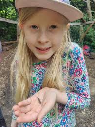 We had a day down in the woods and tried to work out all the trees, three  there we didn't work out with our spotter cards...