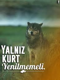 Elcin Həsənov Adli Kullanicinin Turklər Panosundaki Pin Hayvanlar Hayvanlar Alemi Kopek