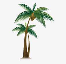 Select from premium coconut tree of the highest quality. Vector Royalty Free Download Arecaceae Tree Trees Transprent Coconut Tree Animation Hd Png Image Transparent Png Free Download On Seekpng
