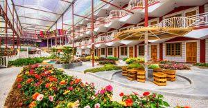 Check spelling or type a new query. Find Europe At These 9 Affordable Family Hotels In Cameron Highlands Near Strawberry Farms Tea Plantations