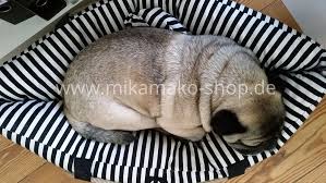 pin auf schnittmuster allgemein