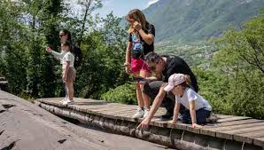 Trend Google: associazione voce camuna