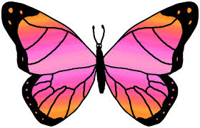 ✓ free for commercial use ✓ high quality images. Clipart Butterfly Outline Free Clipart Images Cliparting Com