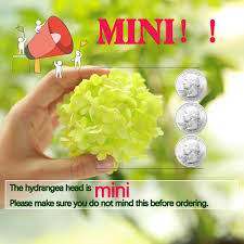 We did not find results for: Buy Greentime Tiny Artificial 7 Heads Hydrangea Bouquet Faux 13 Inches Mini Silk Hydrangea Flowers For Wedding Home Table Centerpiece Party Decoration Green Online In Indonesia B076lyg2b5