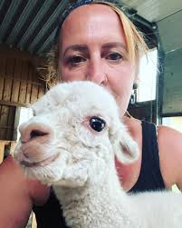 Darf ich vorstellen: Jonny Walker. Unser letztes Fohlen für dieses Jahr.  Mama ist Samira, es ist auch ihr letztes Fohlen. Sie geht jetzt in ihre  wohlverdiente Rente. Papa ist unser Mexx. #babyalpaca #