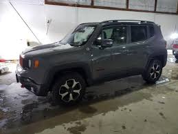 Image result for Sting Gray 2021 Renegade