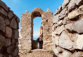 Image result for Emilia jeffreyana