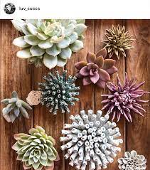 Discount will appear at checkout. Coral Collection In 2021 Ceramic Wall Flowers Porcelain Flowers Ceramic Flowers