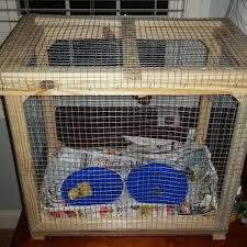 Learn the common mistakes people make raising hermit crabs, how to avoid them, and how to build a good home for hermit crab pets. Hermit Crab Cage Ryobi Nation Projects