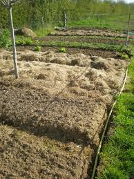 Preparation Des Planches De Culture Boutures De Reves Le Jardin De Sophie Avec Images Jardins Potager Permaculture Jardin Permaculture