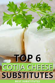 Top 6 Cotija Cheese Substitutes For Your Recipe Recipe Marker