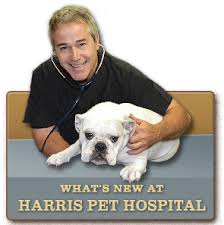 Compare harris hill animal hospital and banfield pet hospital pros and cons using consumer ratings with latest reviews. Home Paddock Lake Veterinarian
