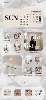 In this page, you can download any of 33+ aesthetic icon. Aesthetic Customize Home Screen Ios 14 Iphone Design Ios Phone Iphone Organization