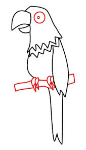 Branches on the parrot | parrot image, cartoon drawings. Drawing A Cartoon Parrot
