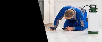 We provide complete residential and commercial pest control services in virginia, maryland, and washington dc. 24 Hour Emergency Pest Control Home Safe Pest Control