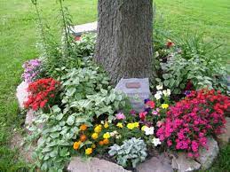 Nice Way To Landscape Around Your Trees Landscaping Around Trees Beautiful Flowers Garden Memorial Garden