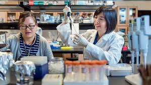 Only new treatments are discovered that advance the demise of the cancer victim. Mtsu Breast Cancer Researchers Play Crucial Role In Treatments